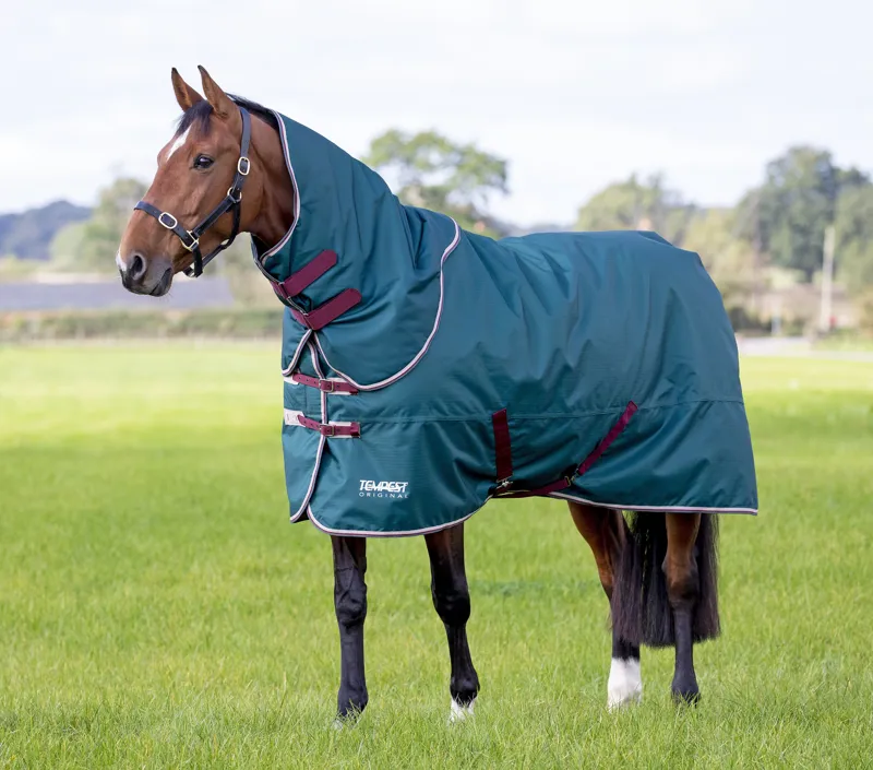 Shires Tempest Original 200g Turnout Rug and Neck Set in Green